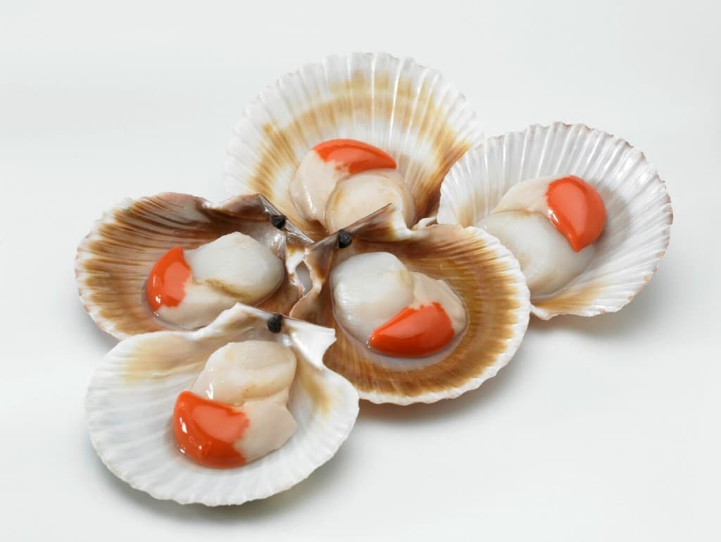 Galician queen scallops — detail